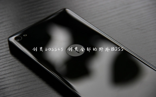 剑灵boss45 剑灵全部的野外BOSS