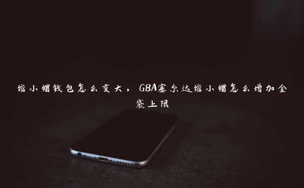 缩小帽钱包怎么变大，GBA塞尔达缩小帽怎么增加金袋上限