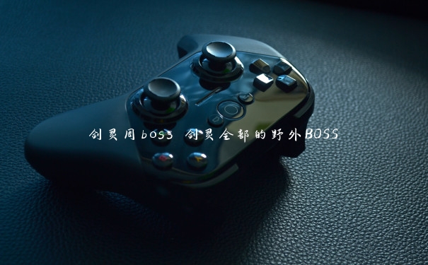 剑灵周boss 剑灵全部的野外BOSS