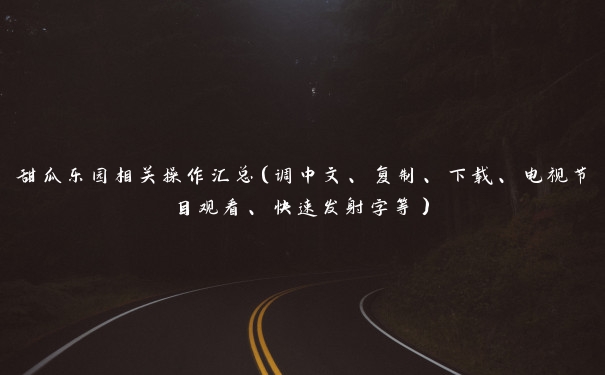 甜瓜乐园相关操作汇总（调中文、复制、下载、电视节目观看、快速发射字等）